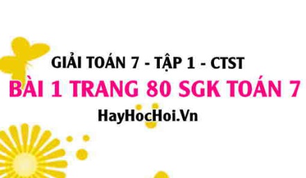 Giải bài 1 trang 80 Toán 7 Tập 1 SGK Chân trời sáng tạo